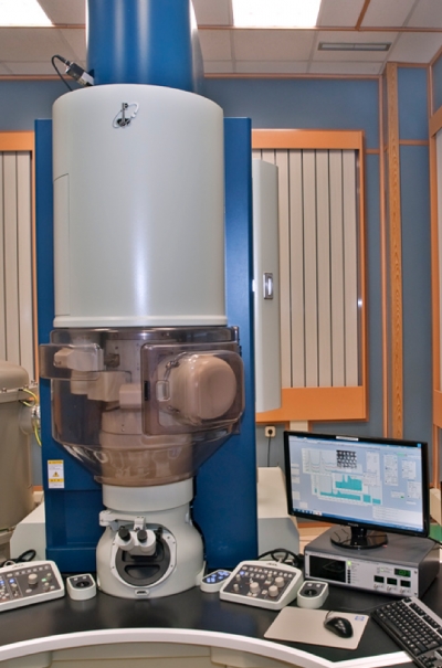 JEOL JEM ARM200cF con aberración corregida en la lente condensadora (Equipo singular- acceso a través de ICTS-ELECMI)